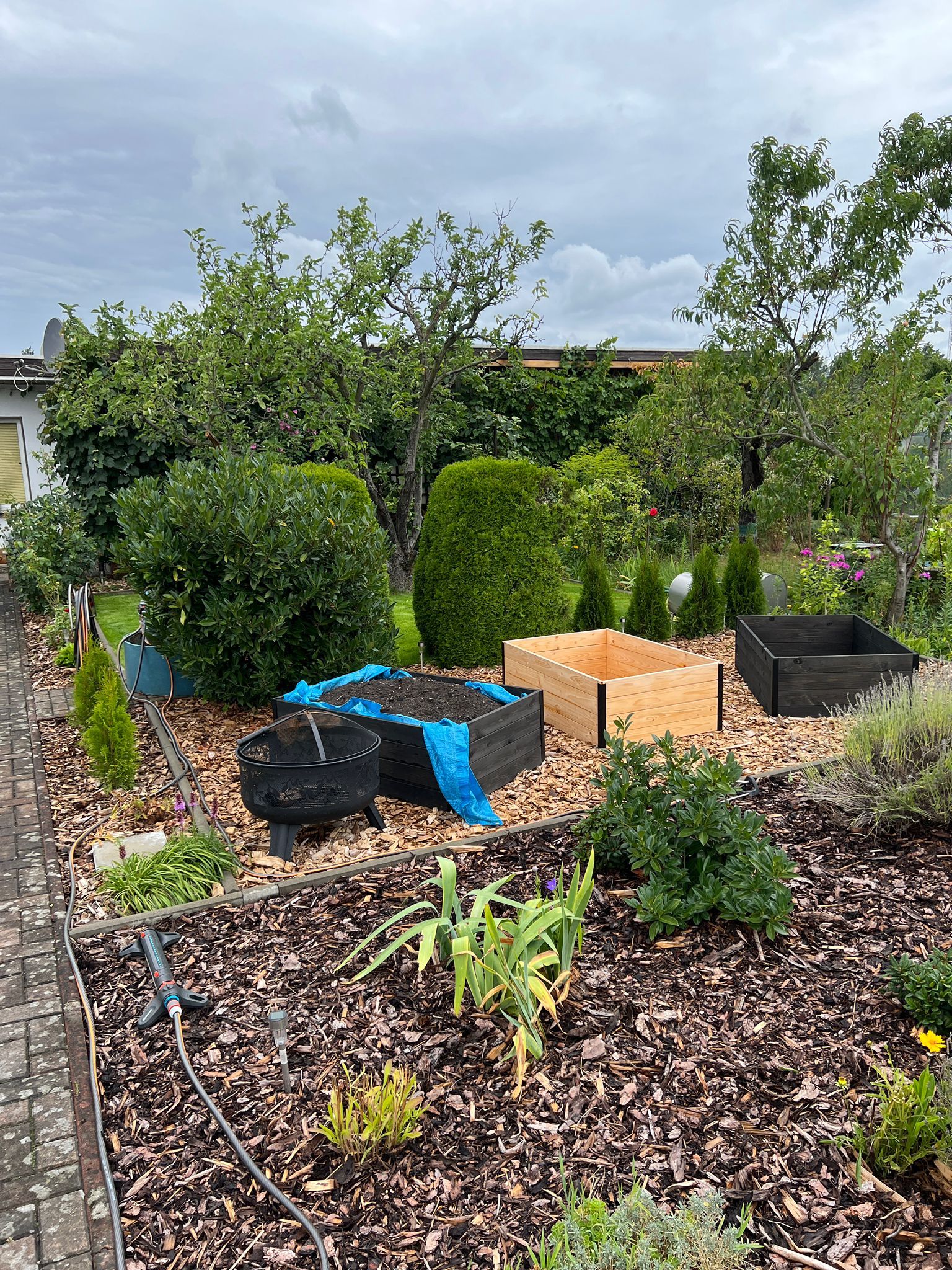 WhatsApp Image 2023 07 31 at 12.15.01 1