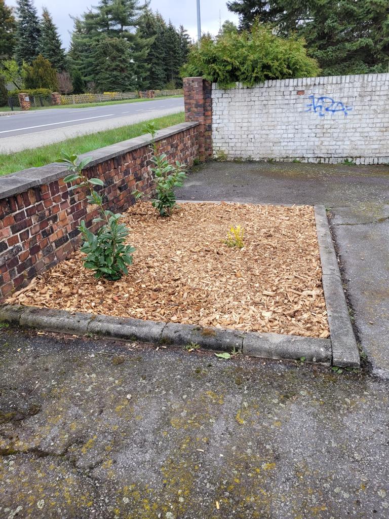 WhatsApp Image 2023 07 31 at 11.59.41