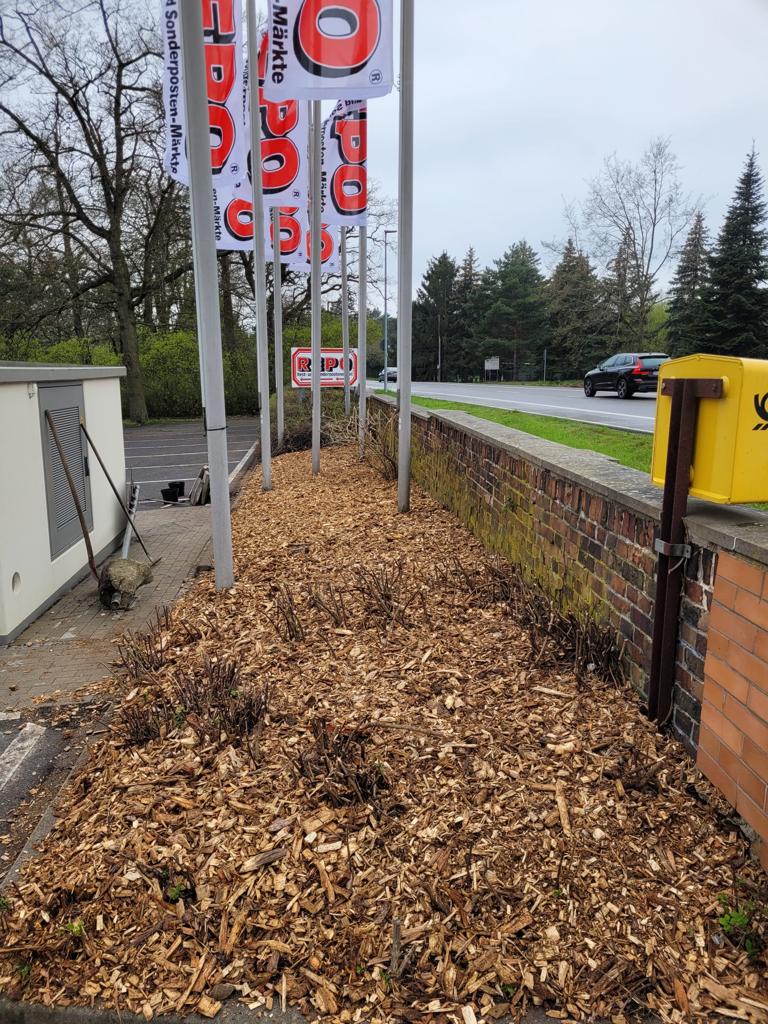 WhatsApp Image 2023 07 31 at 11.59.41 2